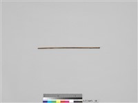 藏品(細竹棒)的圖片